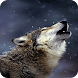 オオカミの壁紙HD - Androidアプリ