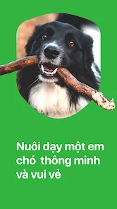 Woofz - Luyện Chó Thông Minh - Ứng Dụng Trên Google Play