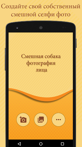 Предварительный просмотр приложения