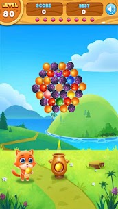 Fruits Shooter For PC installation