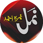 Cover Image of Download Namal by Nimra Ahmed (Novel)  APK