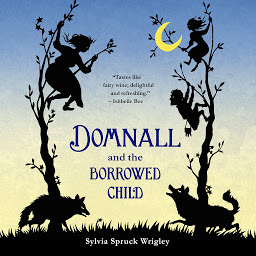 Icon image Domnall and the Borrowed Child