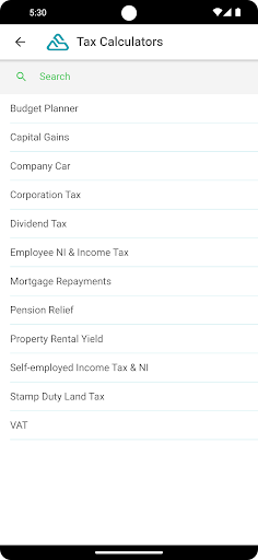 Savvy Accounting Screen 3