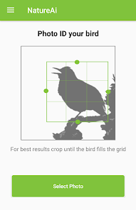Captura 2 European Bird Identification - android