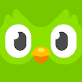 Duolingo APK Logo