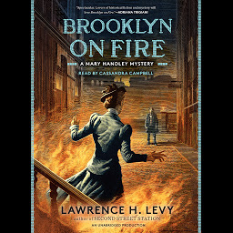 Icon image Brooklyn on Fire: A Mary Handley Mystery