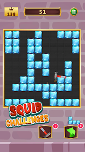 Woody Block Squid Challenge