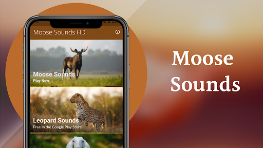 Moose Sounds Screen 2