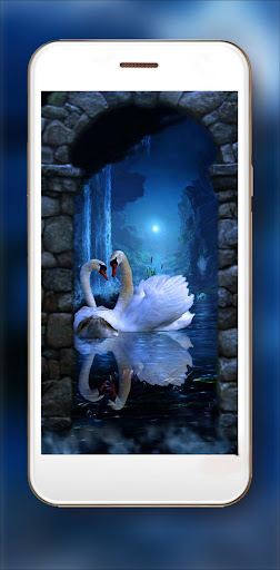 Gothical Swans Night