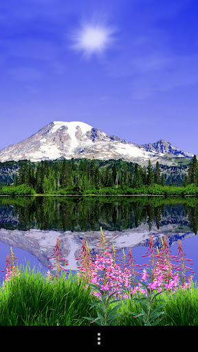 Android application Mount Rainier Lite screenshort