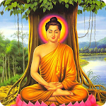 Cover Image of Скачать Buddha Wallpapers HD  APK