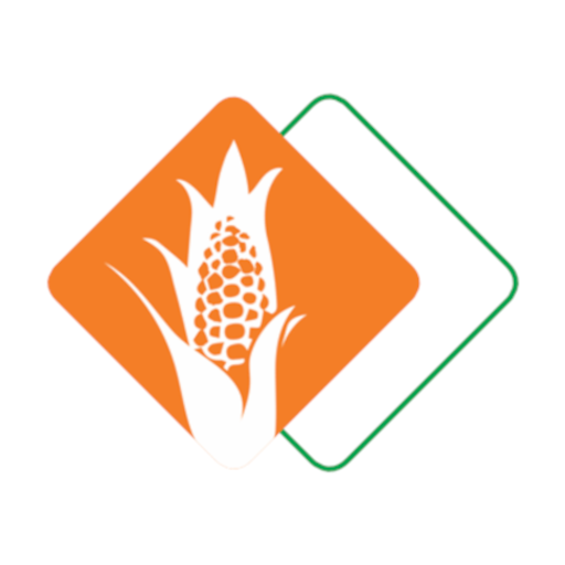 Liderança MT Grãos logo