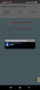 Printer Bluetooth Thermal
