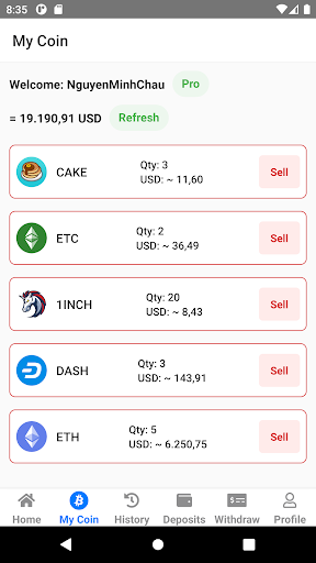 Shop Coin Screen 3