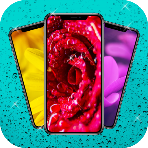 Flowers and roses wallpapers  Icon
