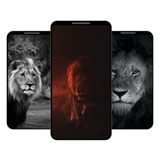 Lion Wallpapers Download on Windows