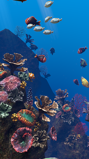 Ocean Aquarium Screen 3