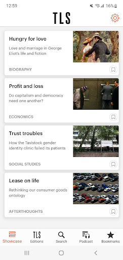 Screenshot of The Times Literary Supplement.