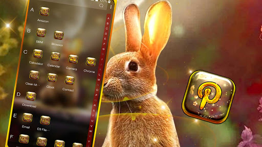 Rabbit in Space Launcher Screen 3