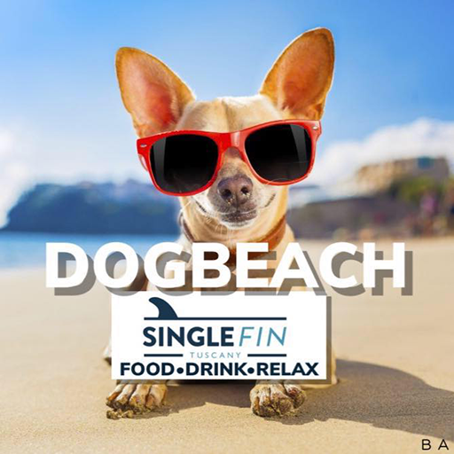 Single Fin Tuscany Dog Beach logo
