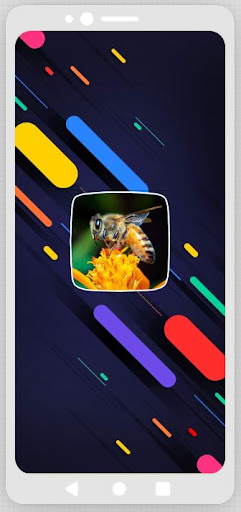 Android application Bee Sounds screenshort