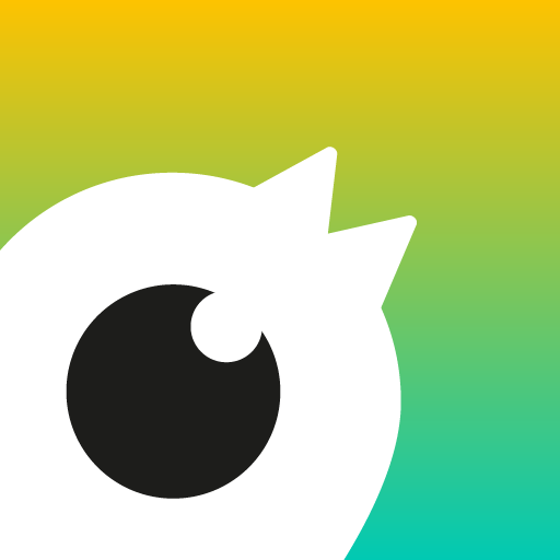 Birdie Driver Download on Windows