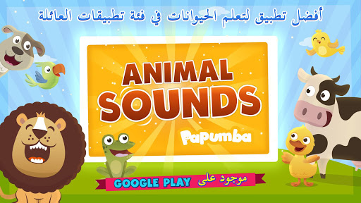 معاينة التطبيق