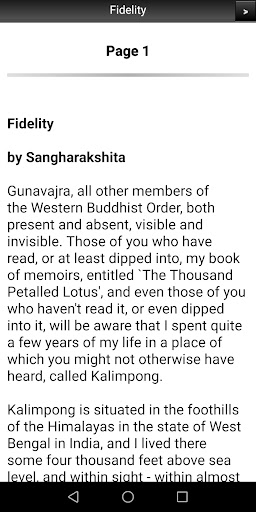 Buddhist Text: Fidelity Screen 2