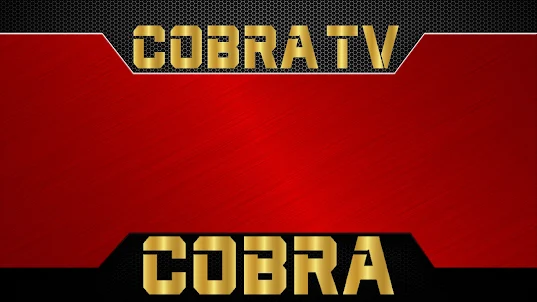 Cobra UTV