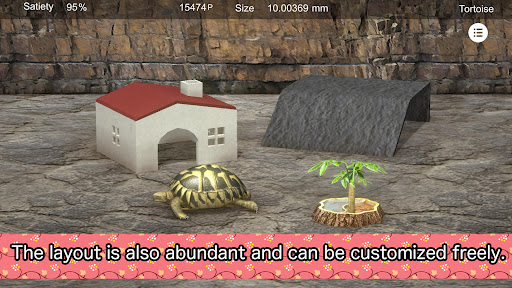 Tortoise to grow relaxedly Screen 3