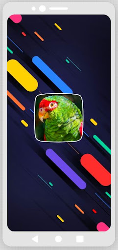 Android application Parakeet Sounds screenshort