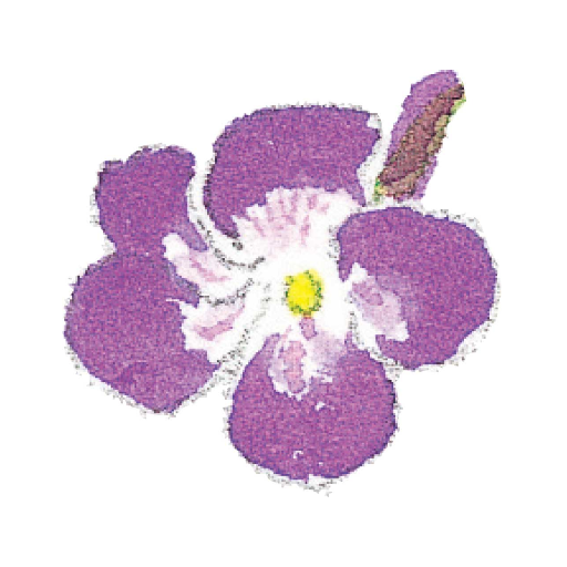 EBM公式アプリ logo