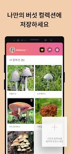 Picture Mushroom – 버섯을 인식 (PREMIUM) 2.9.22 5