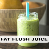 Fat Flush Juice icon