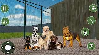 Animal Shelter Sim 3D Rescue - Screenshot 3