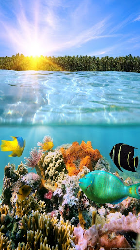 Android application Undersea Wallpapers screenshort