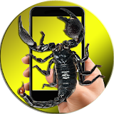 Scorpion On Hand Screen Photo icon