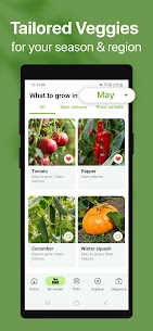 GrowIt: Vegetable Garden Care 2