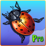 Bug Smasher PRO icon