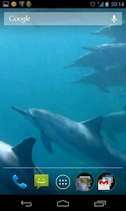 Dolphins 3D. Live Wallpaper.
