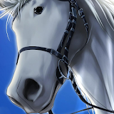 Horse Anime Wallpapers icon