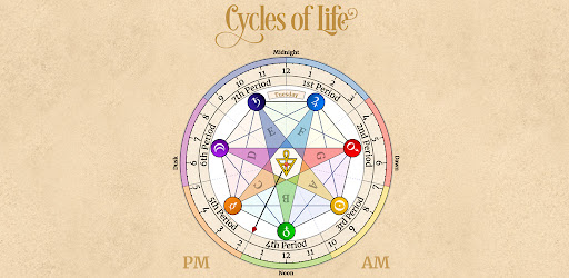Cycles of Life