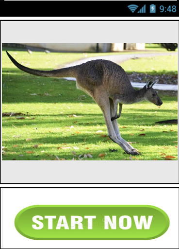 Android application Canguro Time screenshort