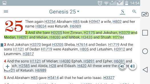 Captura 17 Bible Study with Concordance android