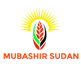 mubashir Sudan icon