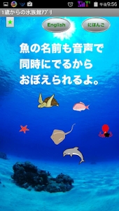 1歳からの水族館アプリ【幼児、子供（こども）におすすめ】