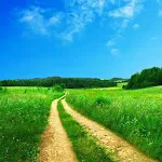 Cover Image of Download Nature Landscape Pathway HD Wallpaper 1.0 APK