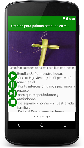 Domingo de Ramos Screen 3