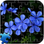 Flowers Jigsaw Puzzle Apk
