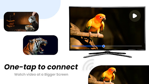 HD Video Screen Mirroring Cast